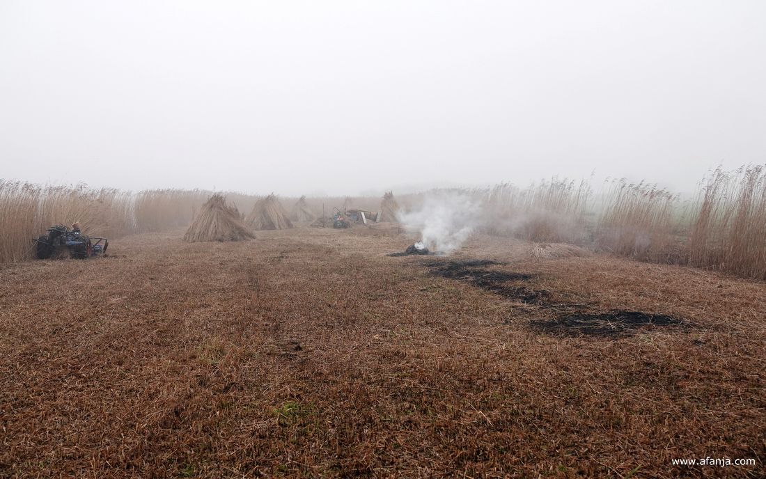 rook en mist boven het rietland