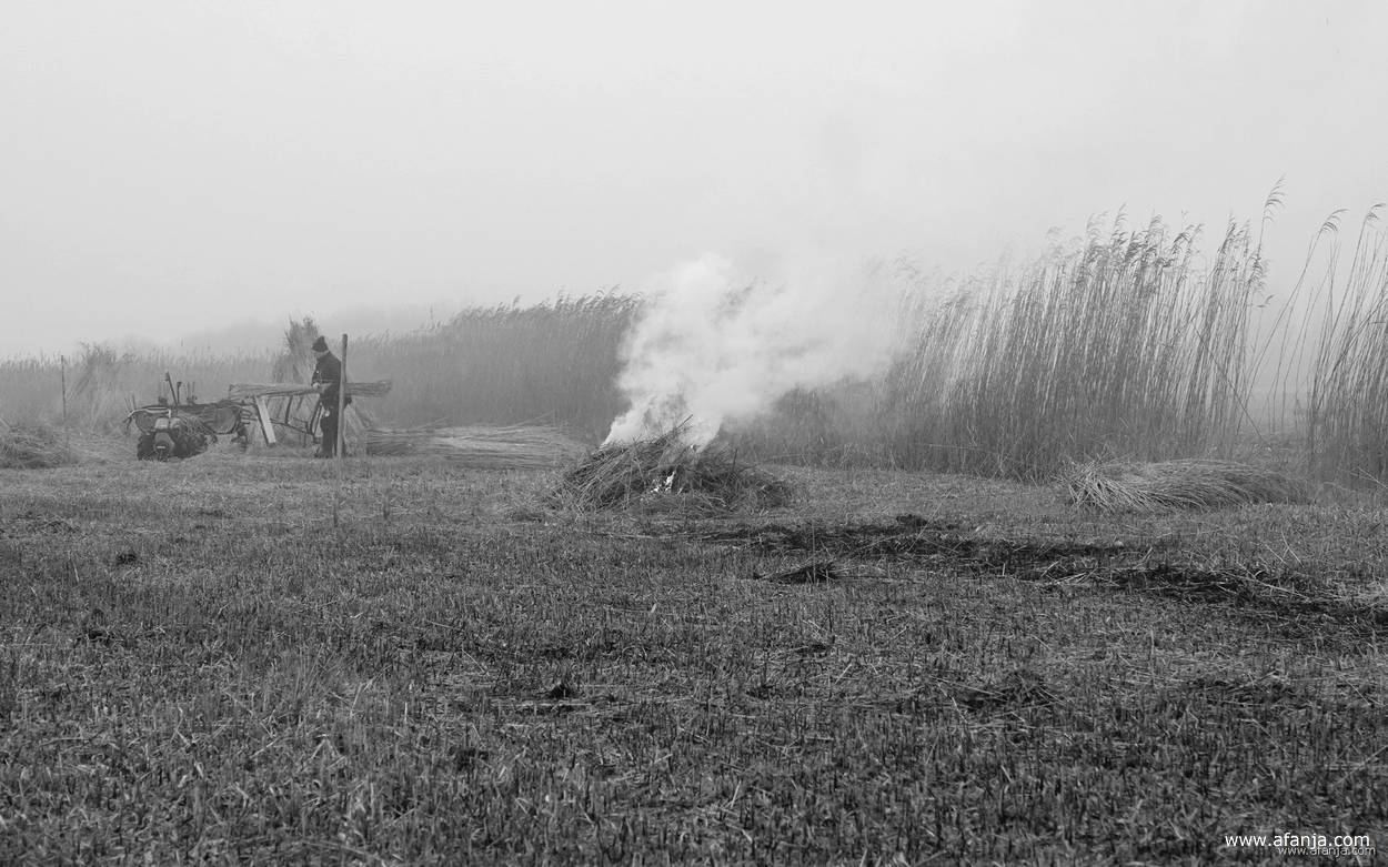 mist en rook boven het rietland