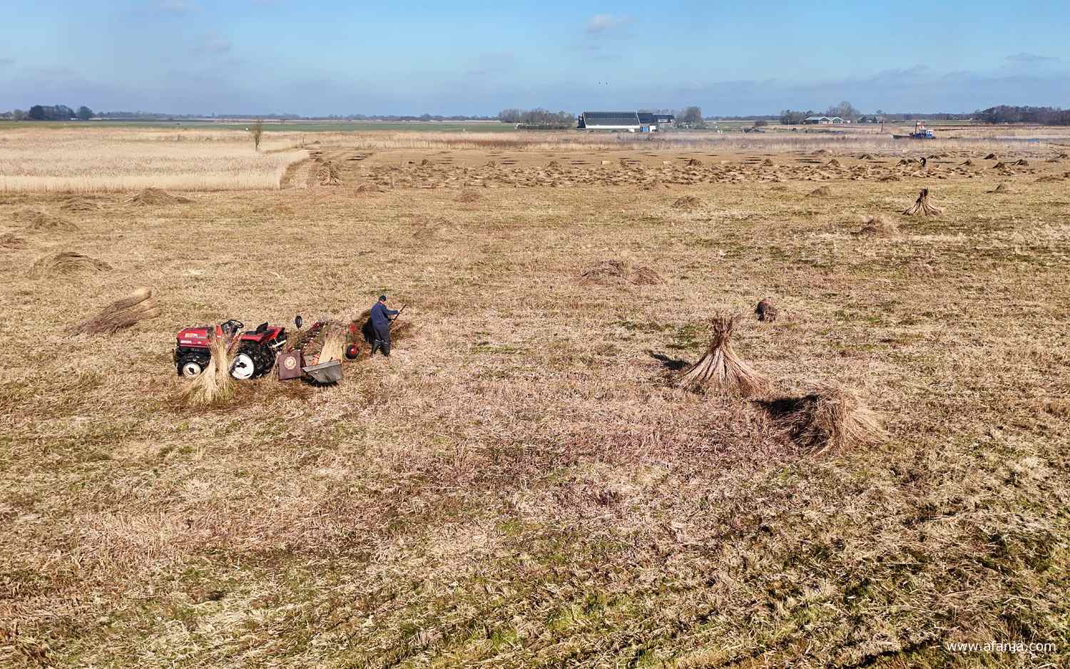 rietsnijder Klaas Jan van boven gezien tijdens het kammen van het riet