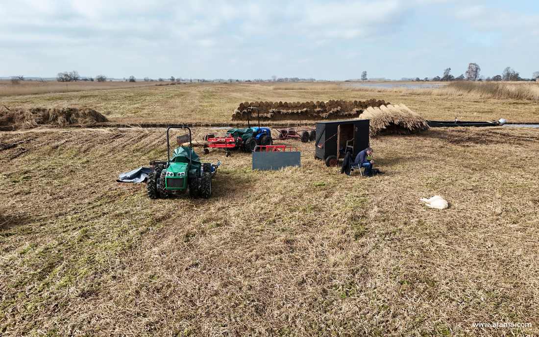 Rhena ligt lekker te slapen in het kampement van de rietsnijders