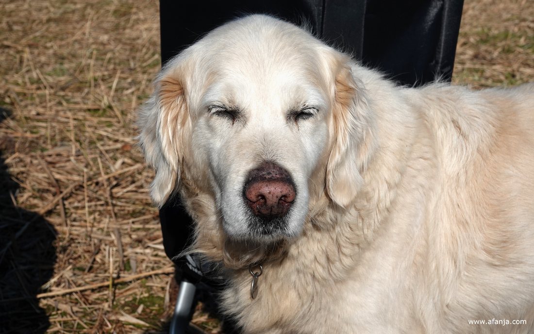 Rhena heeft zich gemeld voor de lunch