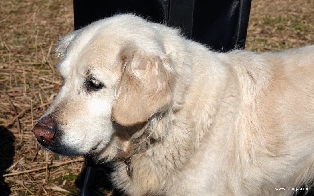 Rhena heeft zich gemeld voor de lunch