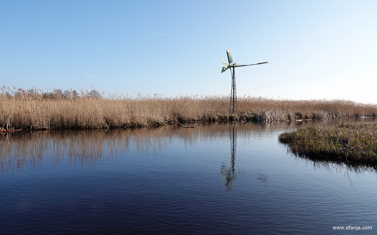 een oud molentje in het rietland
