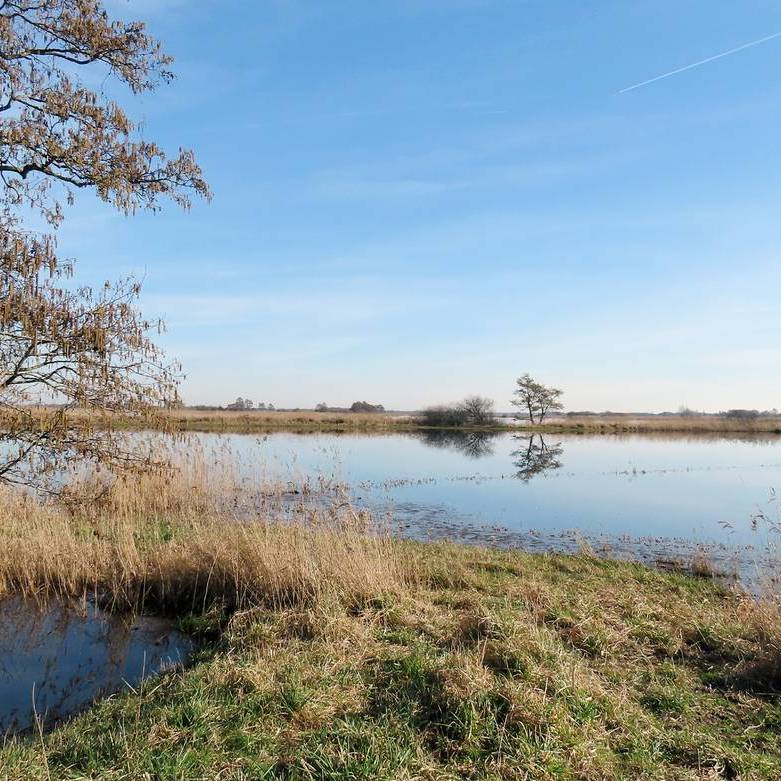landschap aan de Wolwarren