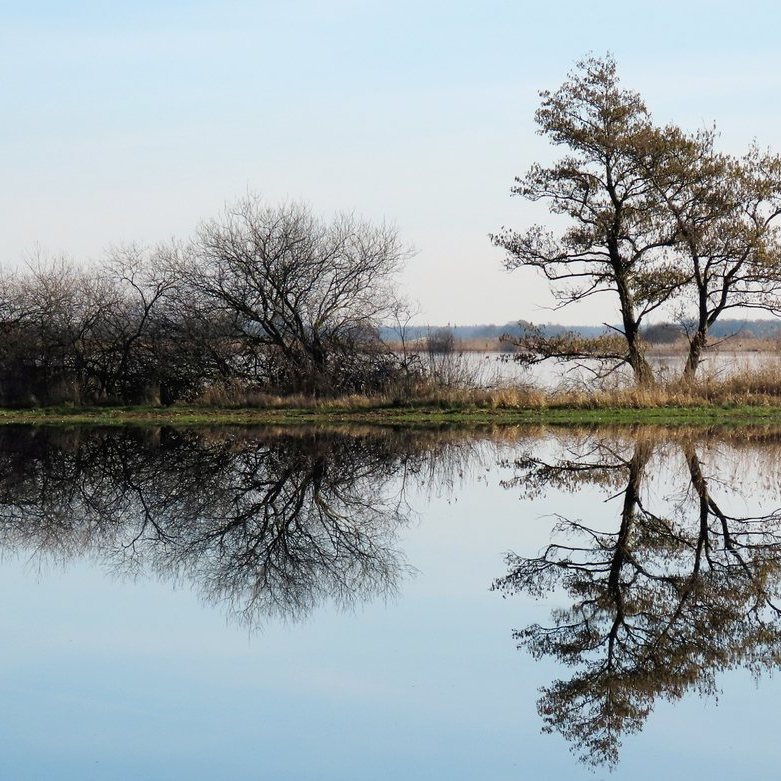 gespiegelde rust aan de Wolwarren