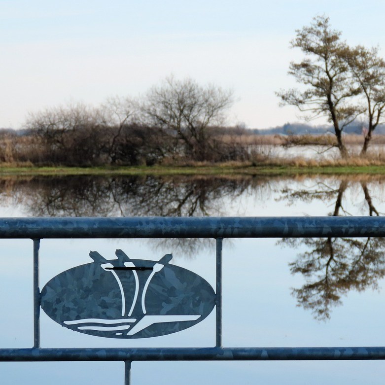 het logo van It Fryske Gea met daarachter een vage weerspiegeling