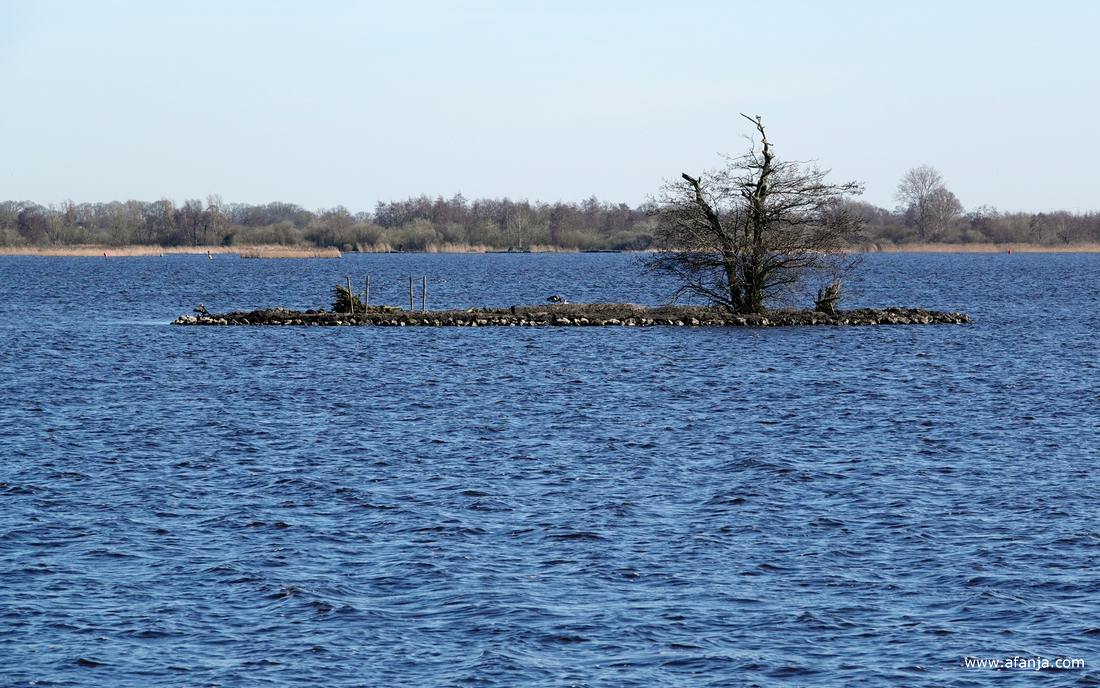 het opnieuw aangelegde eiland in de Leijen
