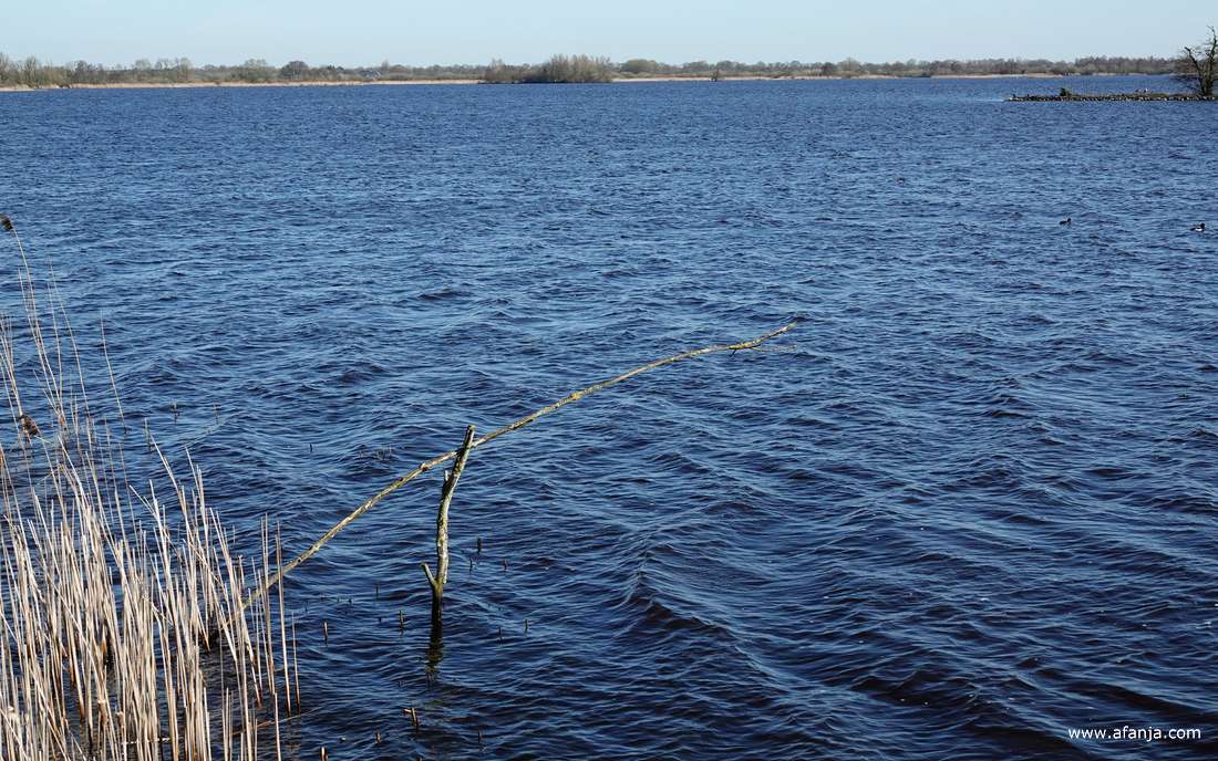 uitzicht over de Leijen in zuidoostelijke richting