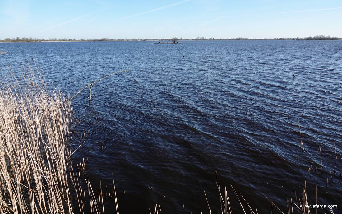 uitzicht over de Leijen in zuidelijke richting