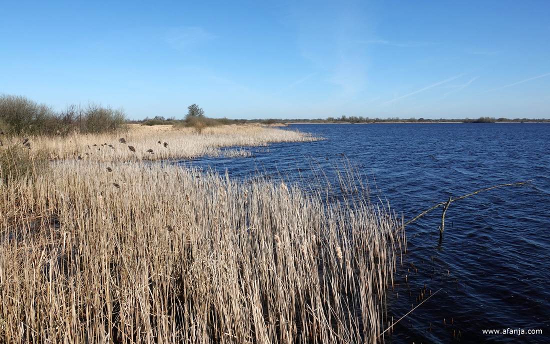 uitzicht over de Leijen in oostelijke richting