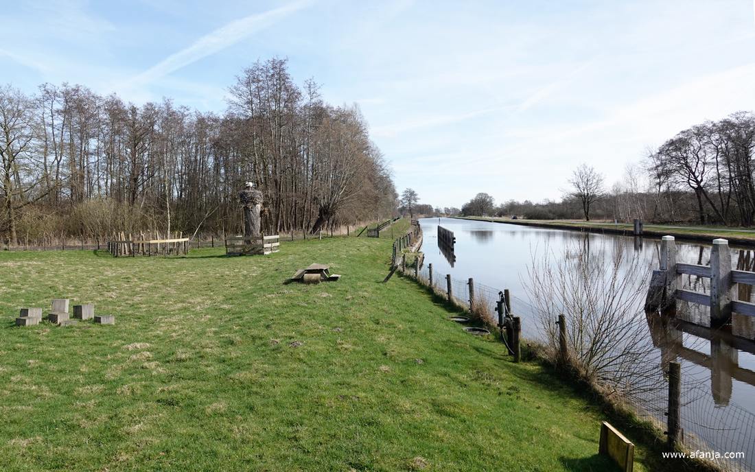 een ooievaar op een nest bovenop een afgezaagde boom aan het Kanaal Steenwijk - Ossenzijl