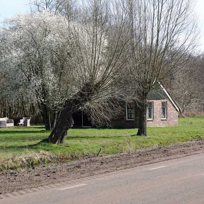 een vervenershuisje met een bloeiende krentenboom aan de Hoogeweg