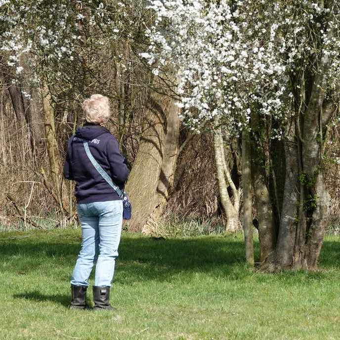 mijn fotomaatje Jetske geniet van de insecten rond de bloeiende krentenboom