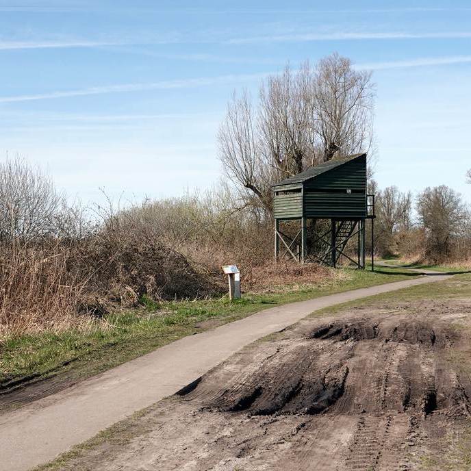 een vogelkijkhut aan de rand van de rietvelden