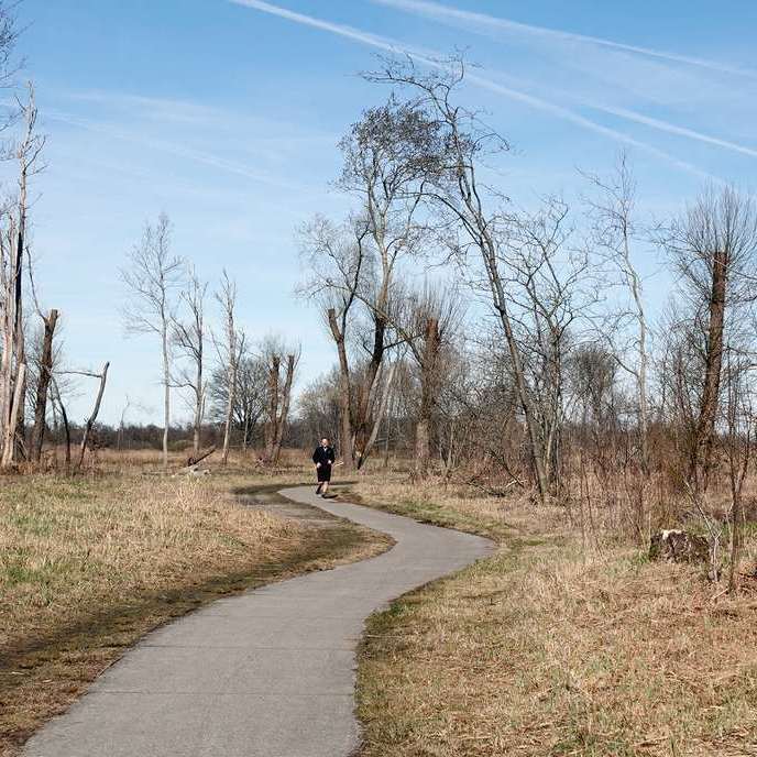 een jogger nadert over een fietspad dat tussen afgezaagde bomen door slingert