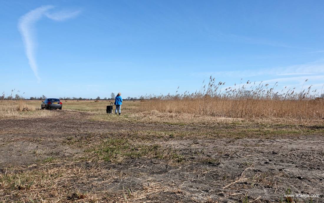 Jetske neemt contact op met haar neef