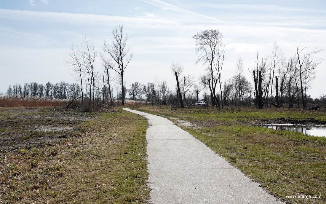er nadert een auto over het fietspad