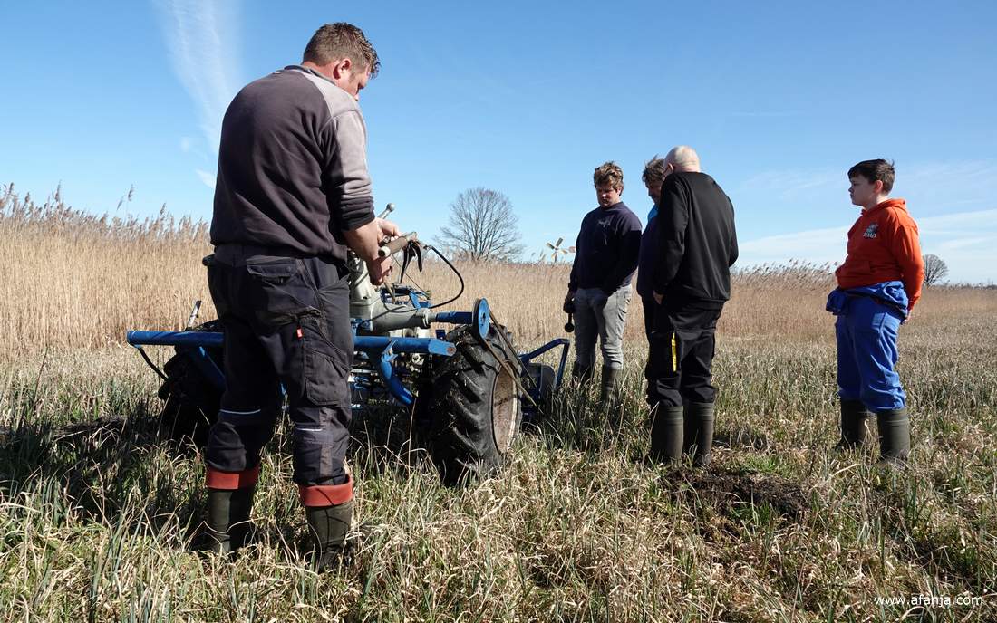 Klaas Jan start de rietmaaier die een update heeft gekregen, collega-rietsnijders kijken geïnteresseerd toe
