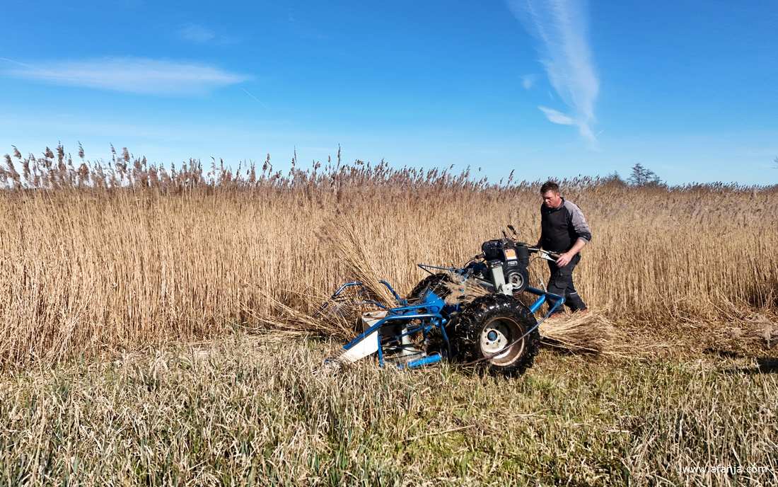 Klaas Jan aan het werk de rietmaaier