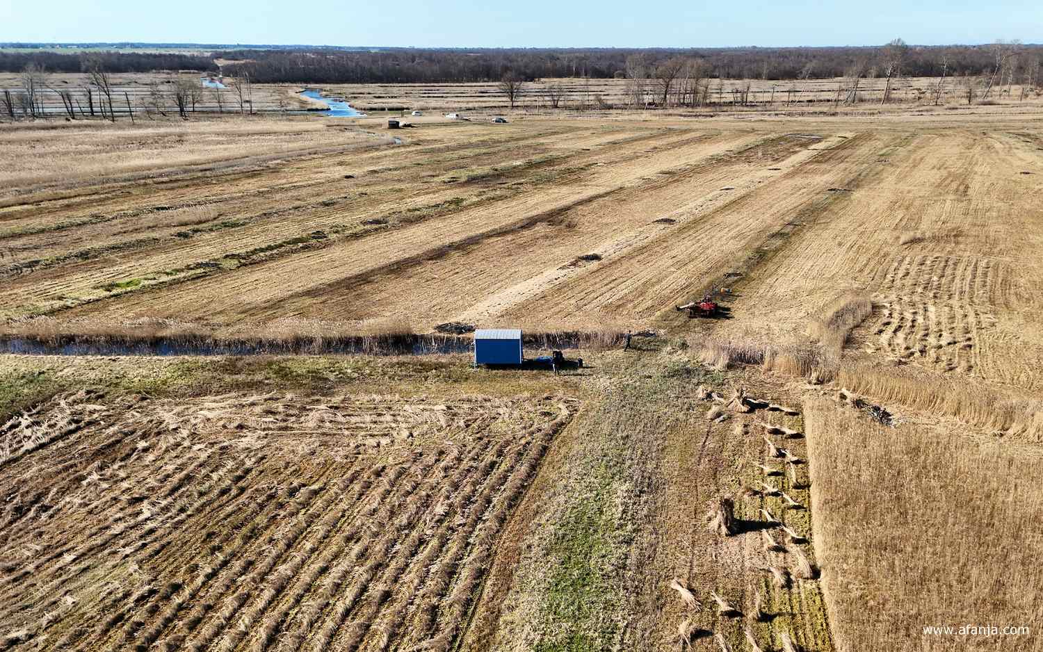 op de voorgrond de schaftkeet in het rietland waar gewerkt werd, op de achtergrond staan de auto's geparkeerd bij een gat in de bomenrij