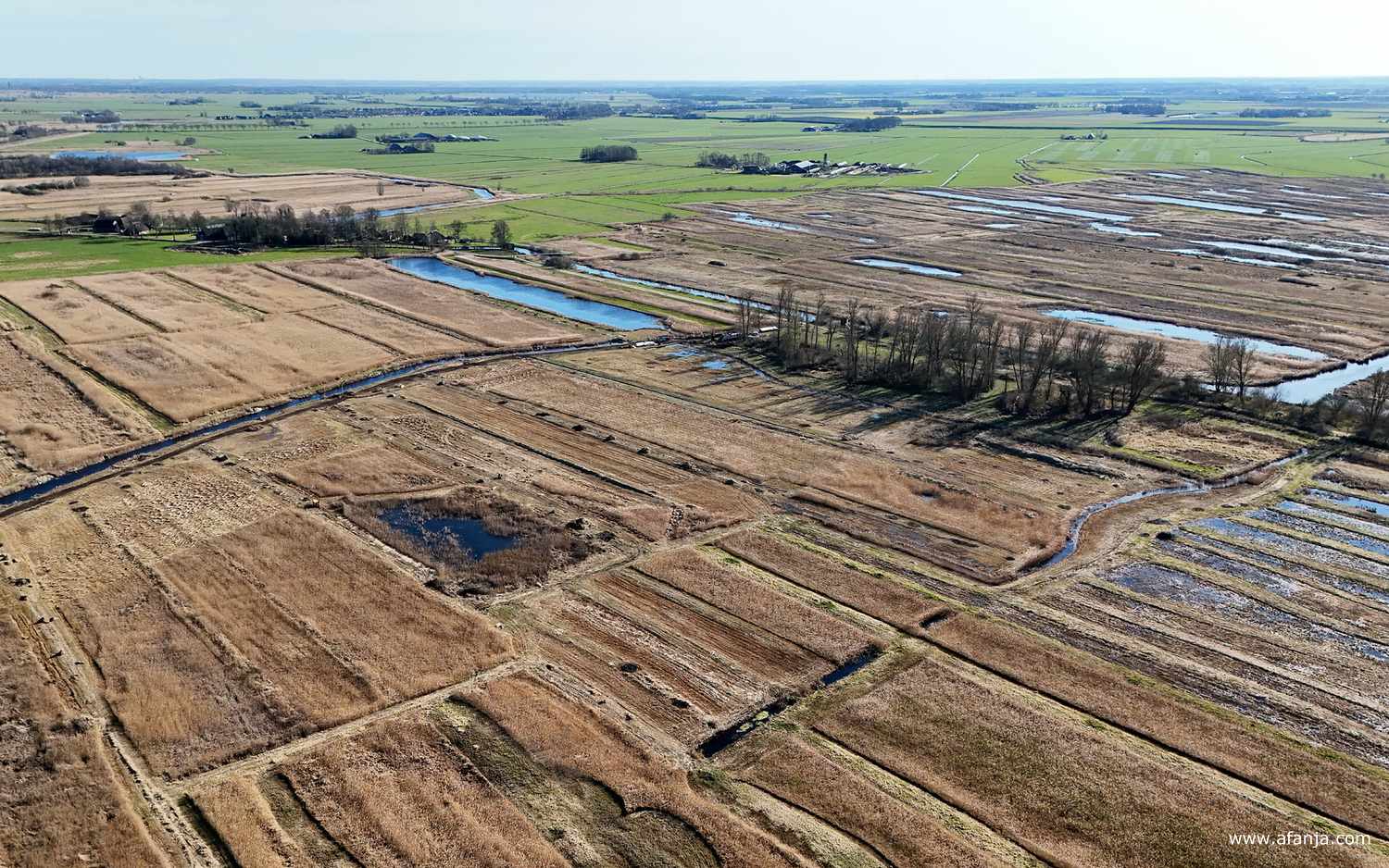 linksboven de buurtschap Nederland, gelegen tussen rietvelden (uitgezoomd)