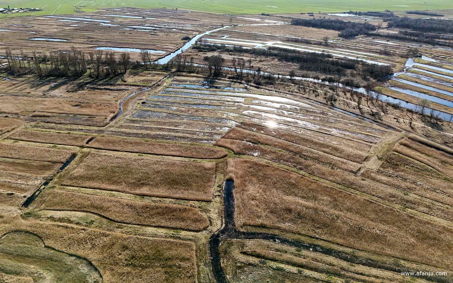 een fietspad slingert tussen de bomen door met aan de ene kant rietvelden en aan de andere kant petgaten