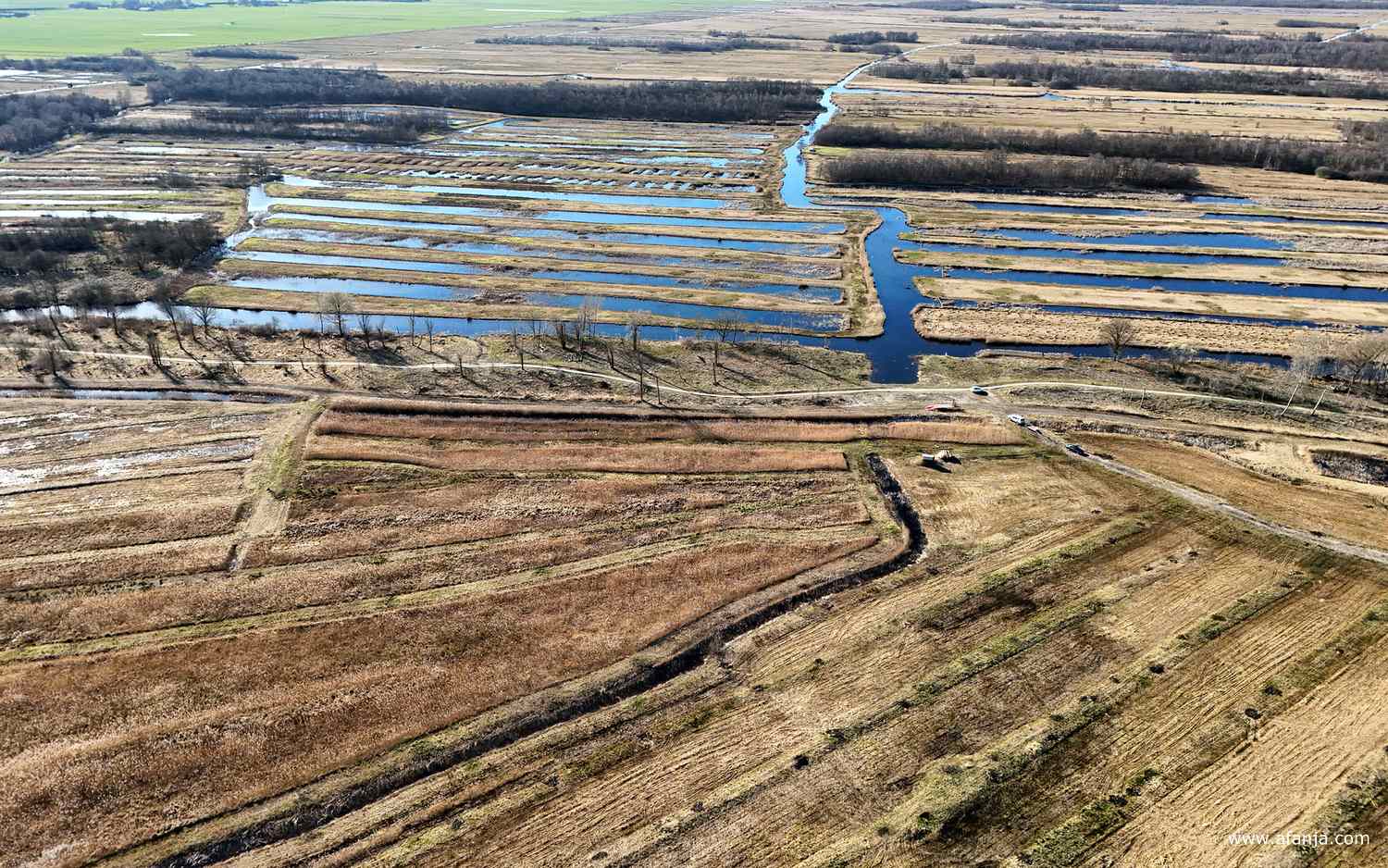 een fietspad slingert tussen de bomen door met aan de ene kant rietvelden en aan de andere kant petgaten