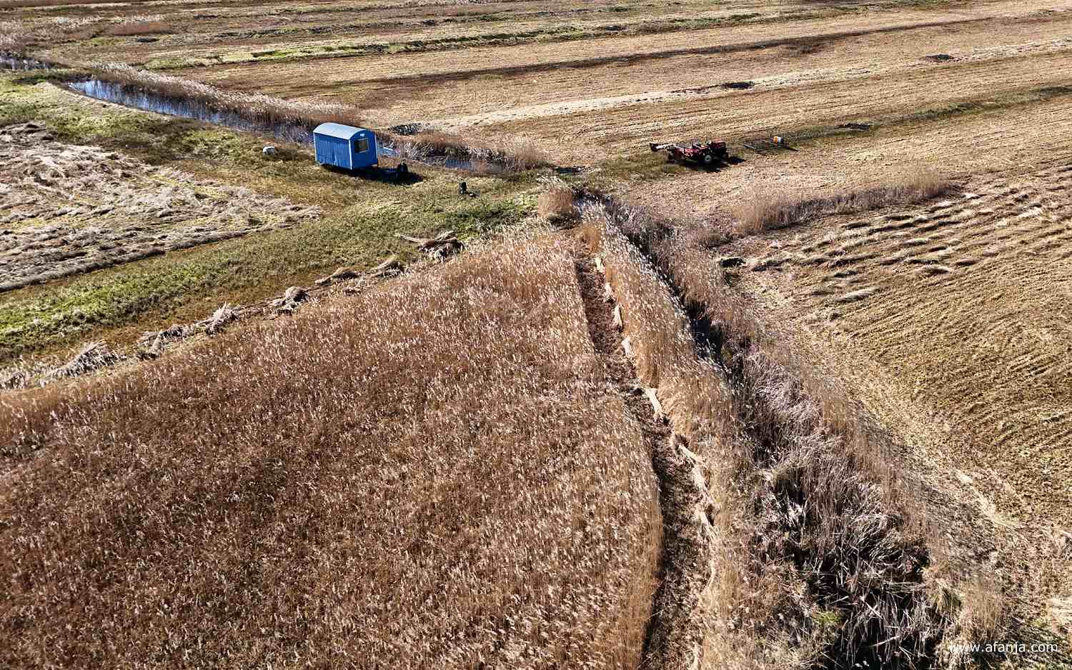 vlak achter het rietland loop heel geniepig een sloot
