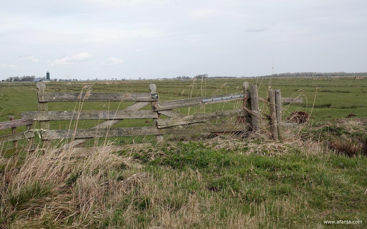 een mooi uit elkaar vallend hek van It Fryske Gea