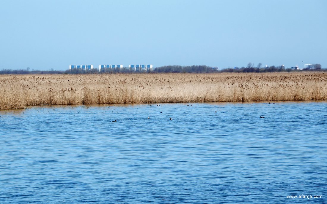 in de verte zijn de R.J. Cleveringsluizen te zien