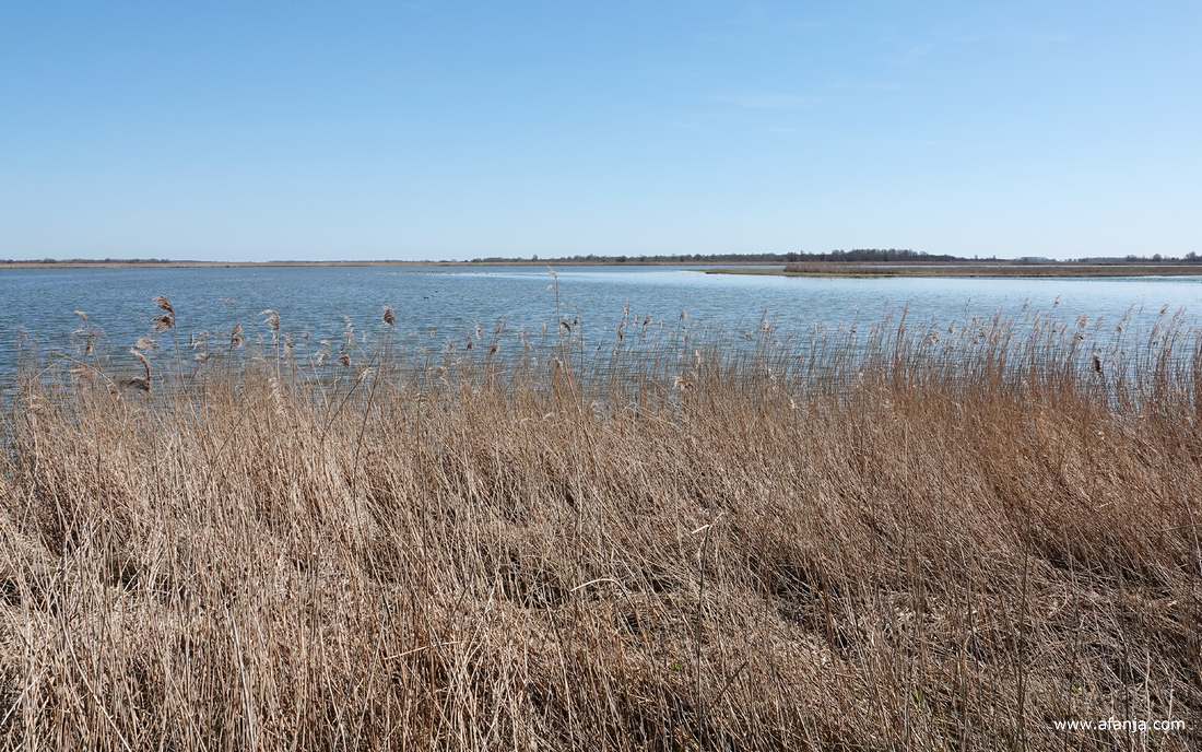 uitzicht over het Lauwersmeergebied vanaf het uitkijkpunt