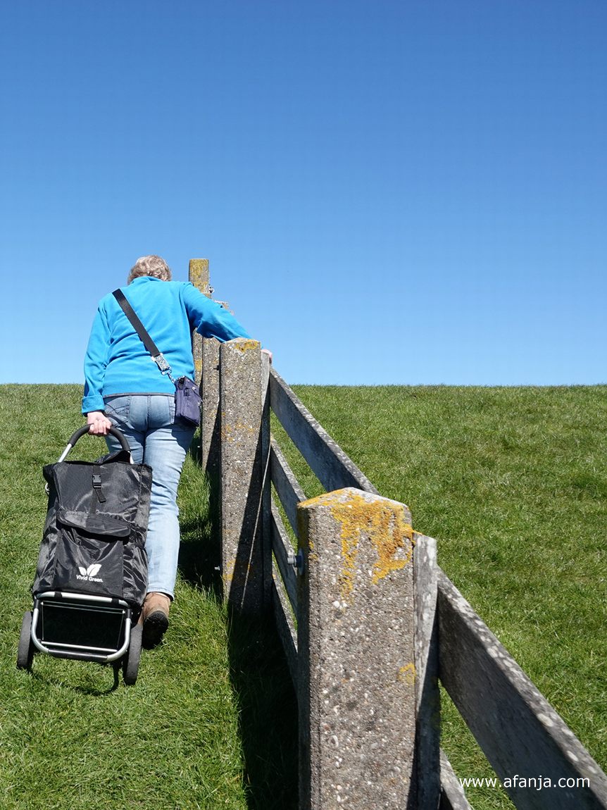 Jetske beklimt met haar rollende cameratas de zeedijk bij Peazens-Moddergat