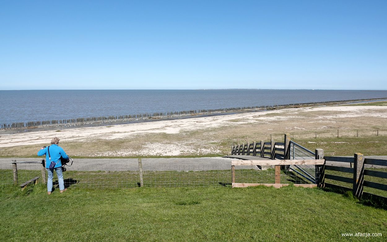 de overgang naar de Peazumerlânnen