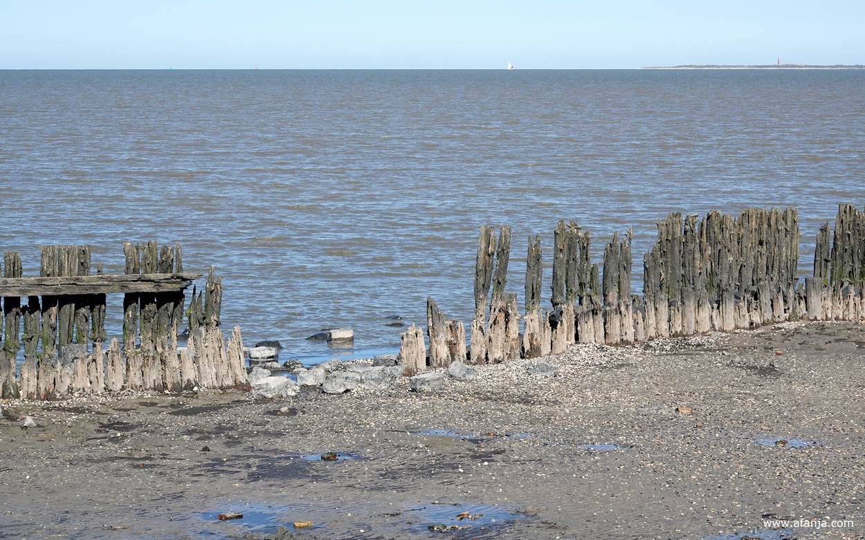 zicht op de oude palenrij bij Peazens-Moddergat, in verte een zeilboot en rechts in beeld Schiermonnikoog