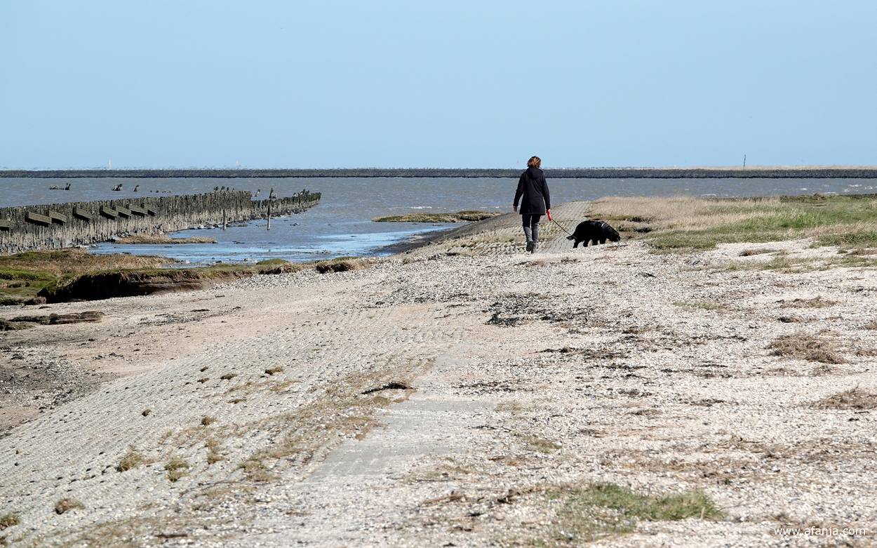 ingezoomd beeld van de vrouw met de hond, op de achtergrond de dijk langs de Peazumerlânnen