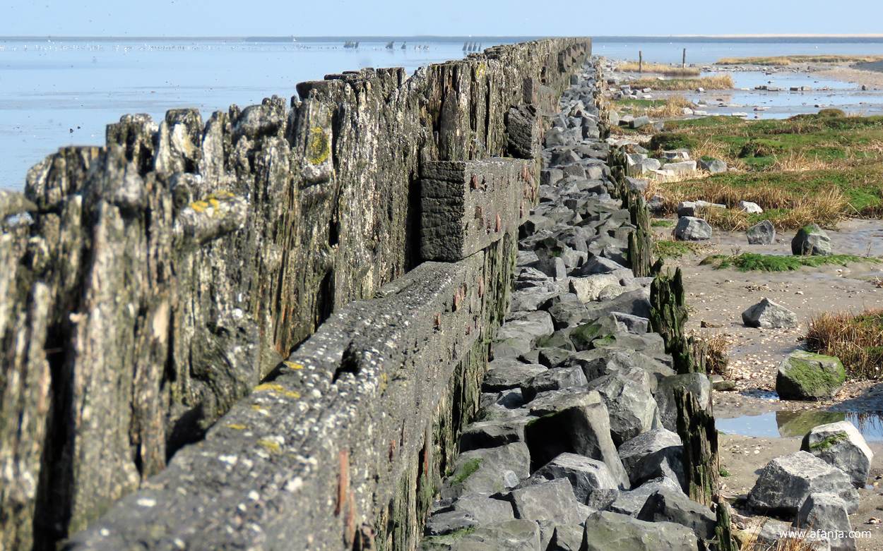 een deel van de oude palenrij bij Peazens-Moddergat