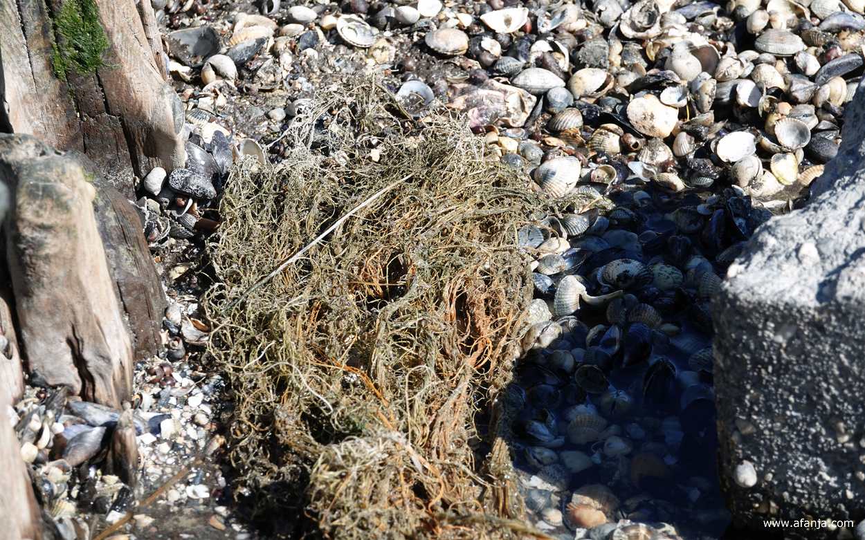 een dik stuk touw is aan één uiteinde gerafeld