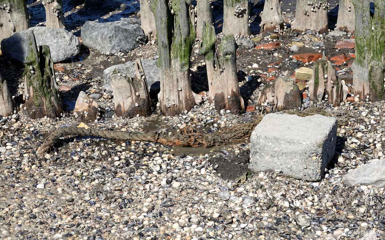 een dik stuk touw ligt muurvast in de bodem