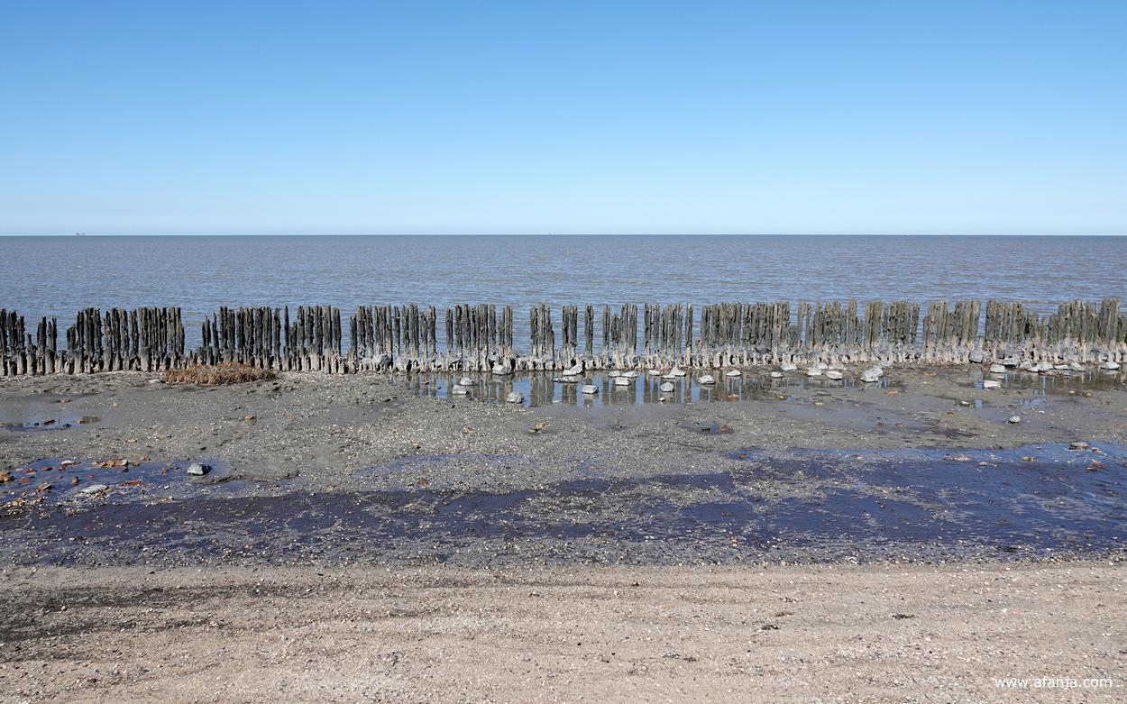 een deel van de oude palenrij bij Peazens-Moddergat