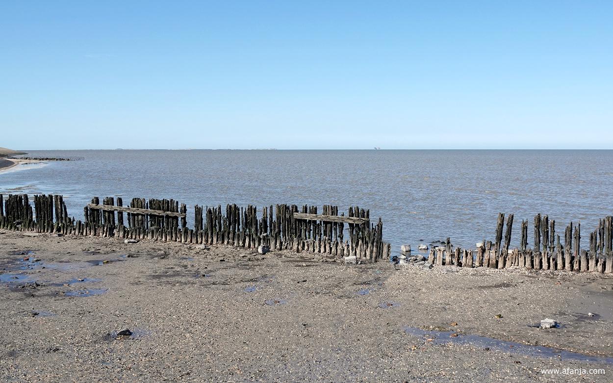 zicht op de oude palenrij bij Peazens-Moddergat