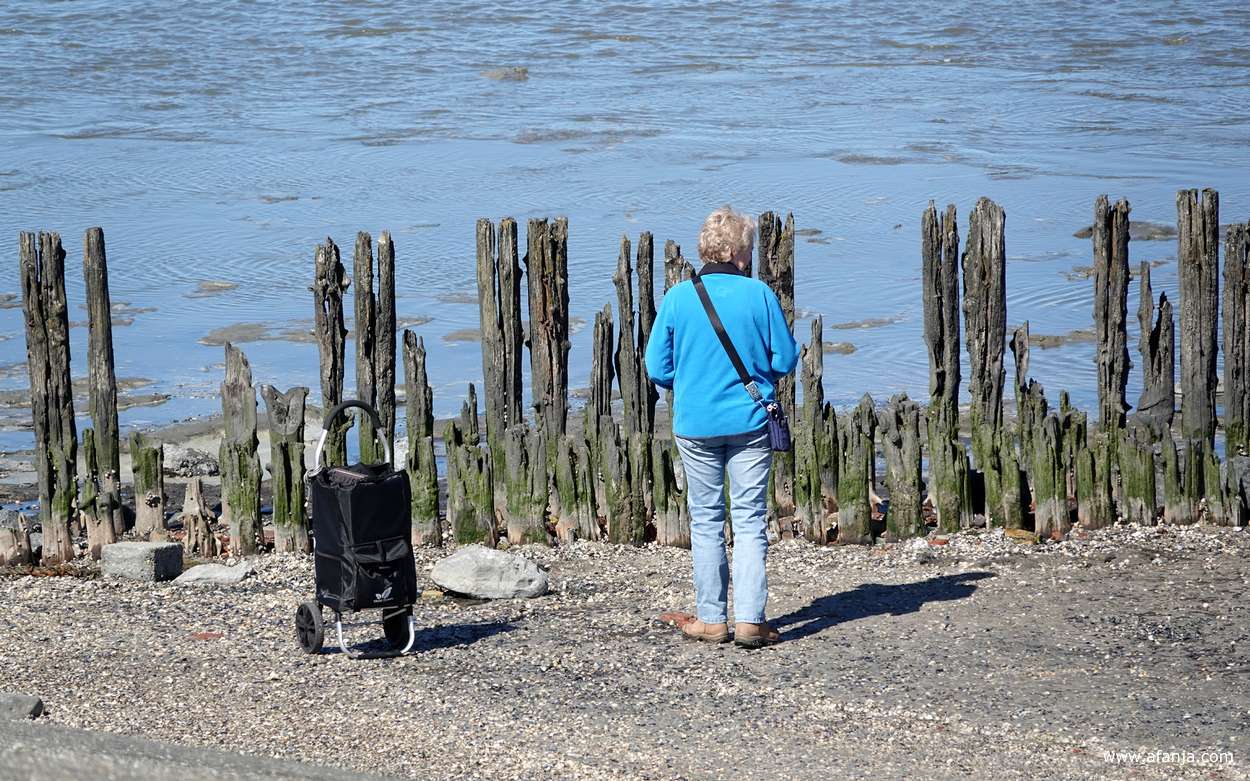 Jetske staat bij de oude palenrij