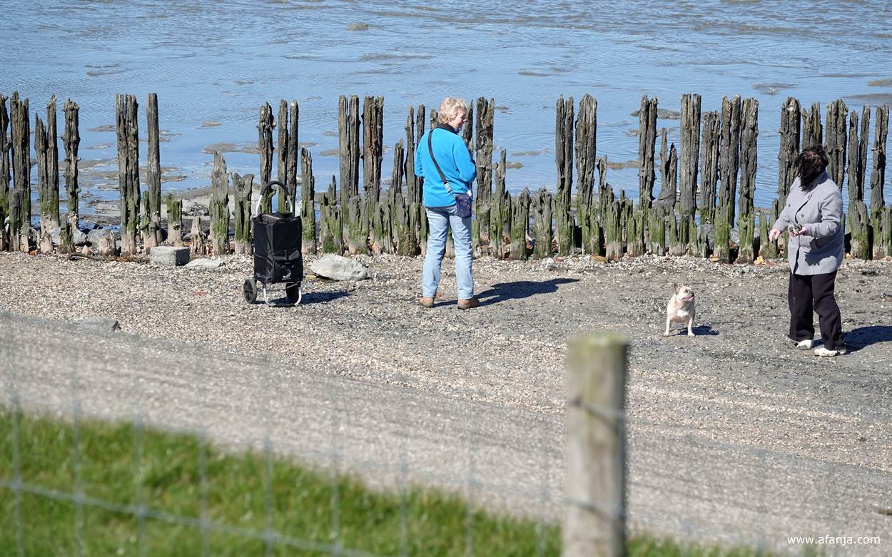 Jetske is in gesprek met de vrouw met het hondje