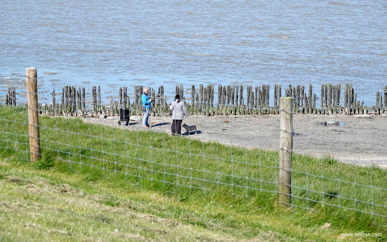 Jetske is in gesprek met de vrouw met het hondje
