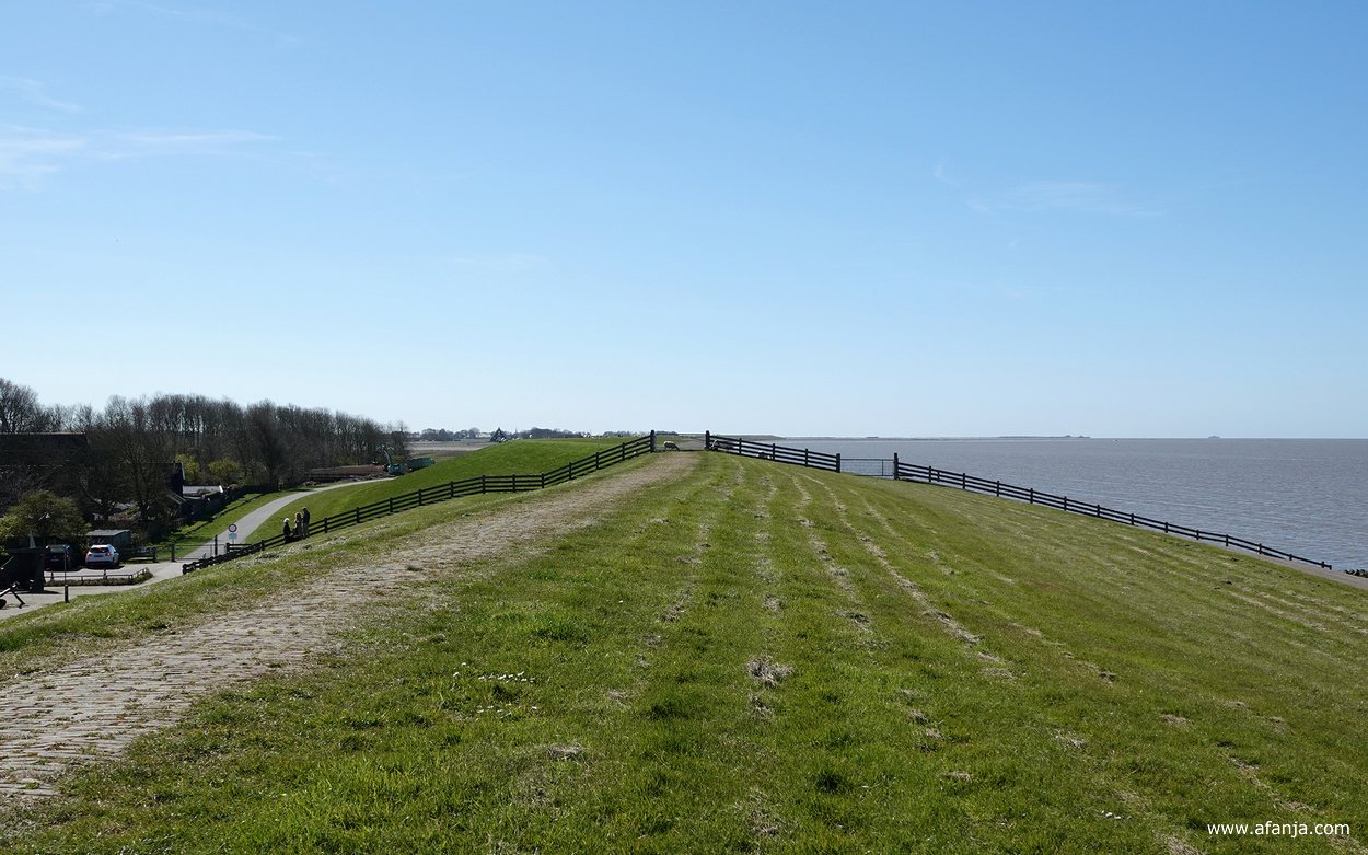 zicht naar het westen over de dijk bij Wierum