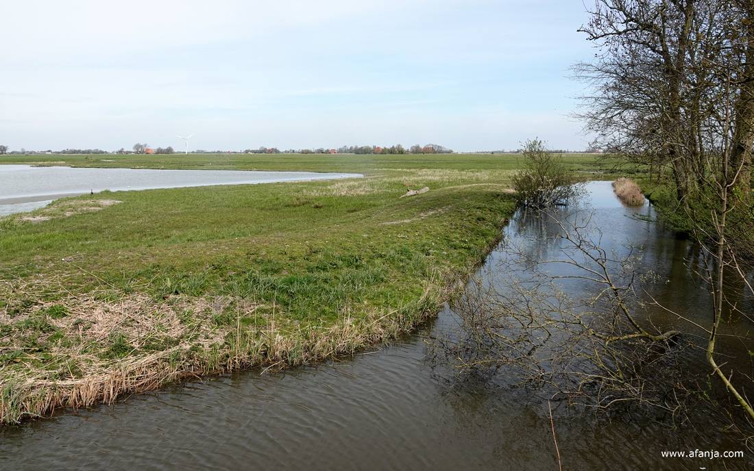 uitzicht vanuit de vogelkijkhut