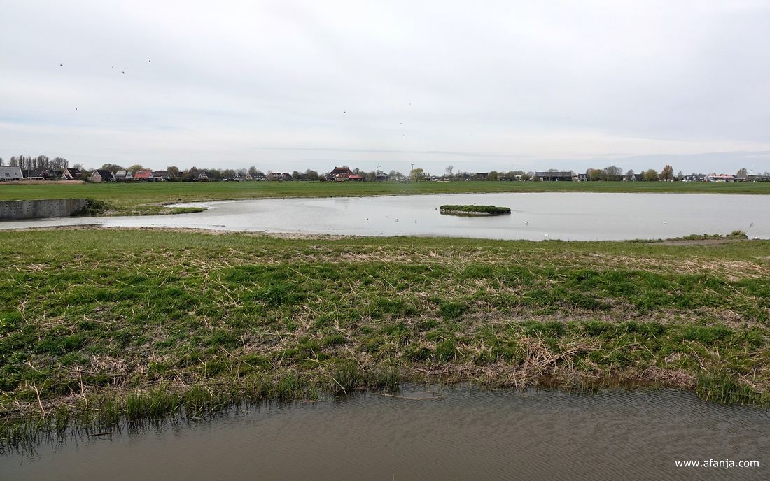 de plas voor de vogelkijkhut met links een stukje van de zwaluwenwand en centraal in beeld het eilandje in de plas