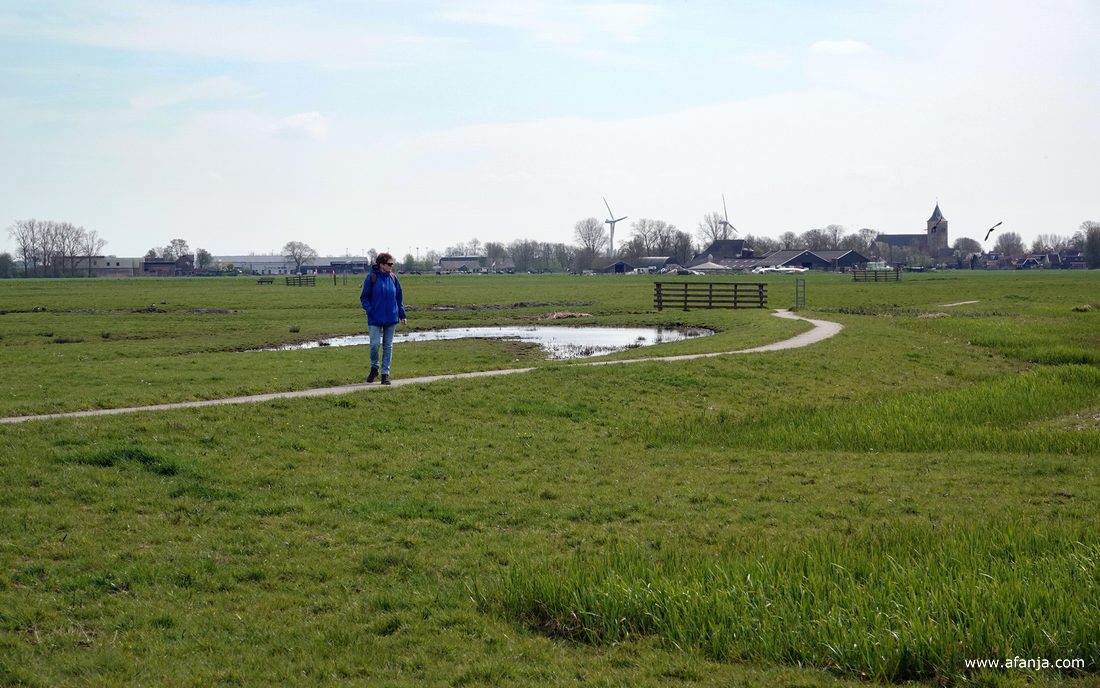 Aafje kwam terug vanuit de richting Easterein