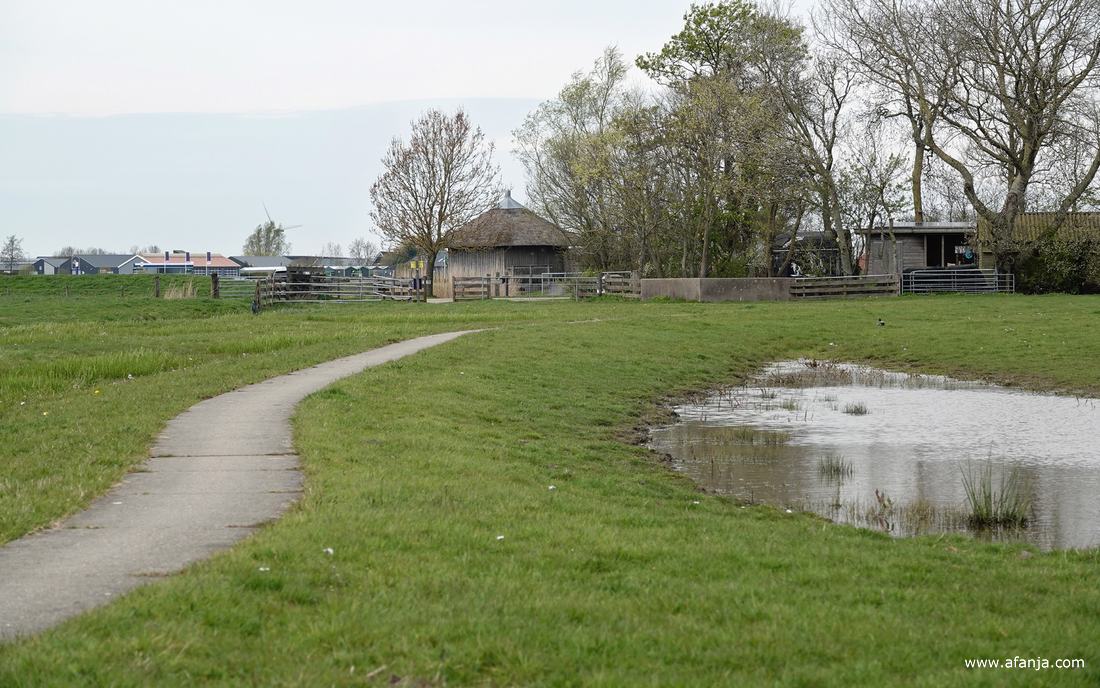 centraal in beeld is de vogelkijkhut bij Skrok te zien