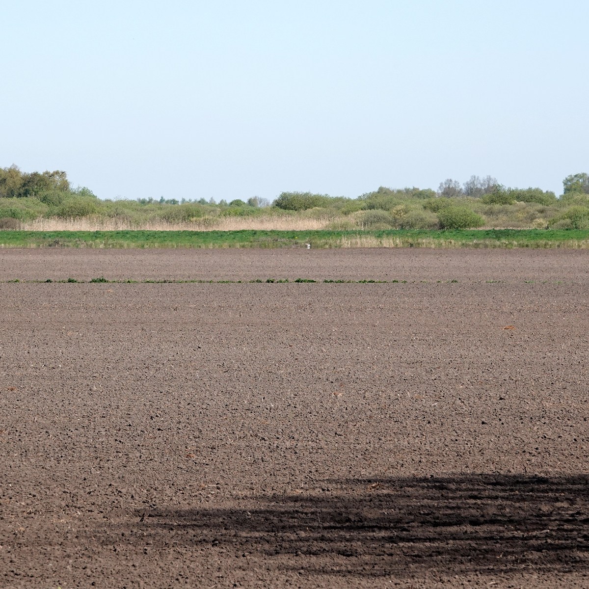akkerland aan de rand van het Fochteloërveen