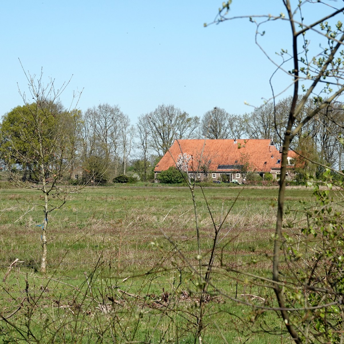 een van de de laatste boerderijen in het Fochteloërveen